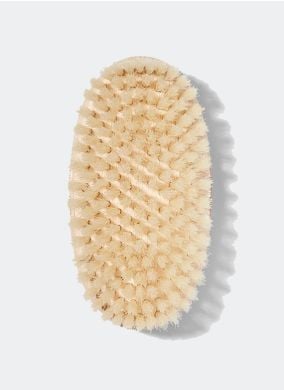 body brush